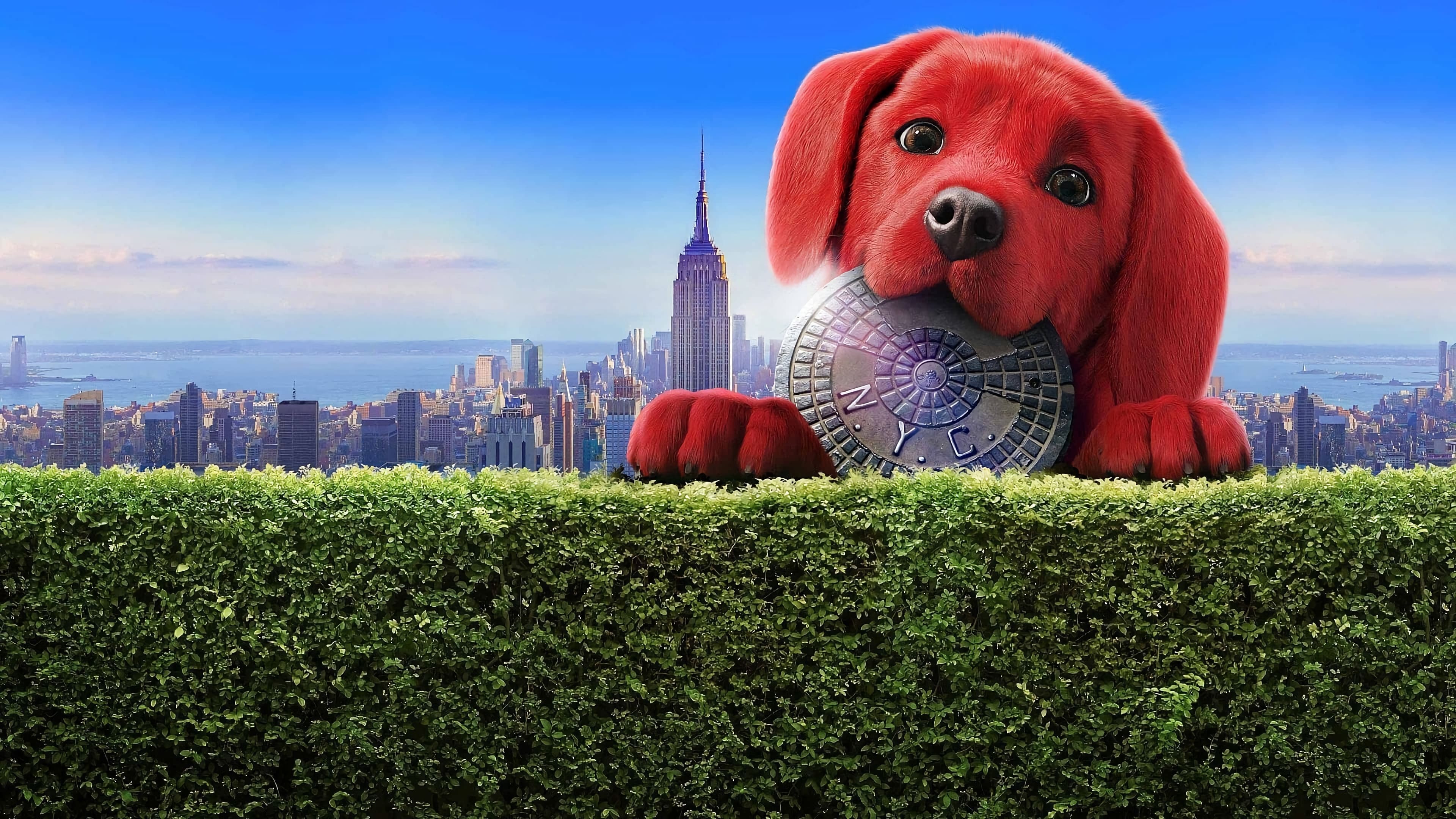 Movie Backdrop