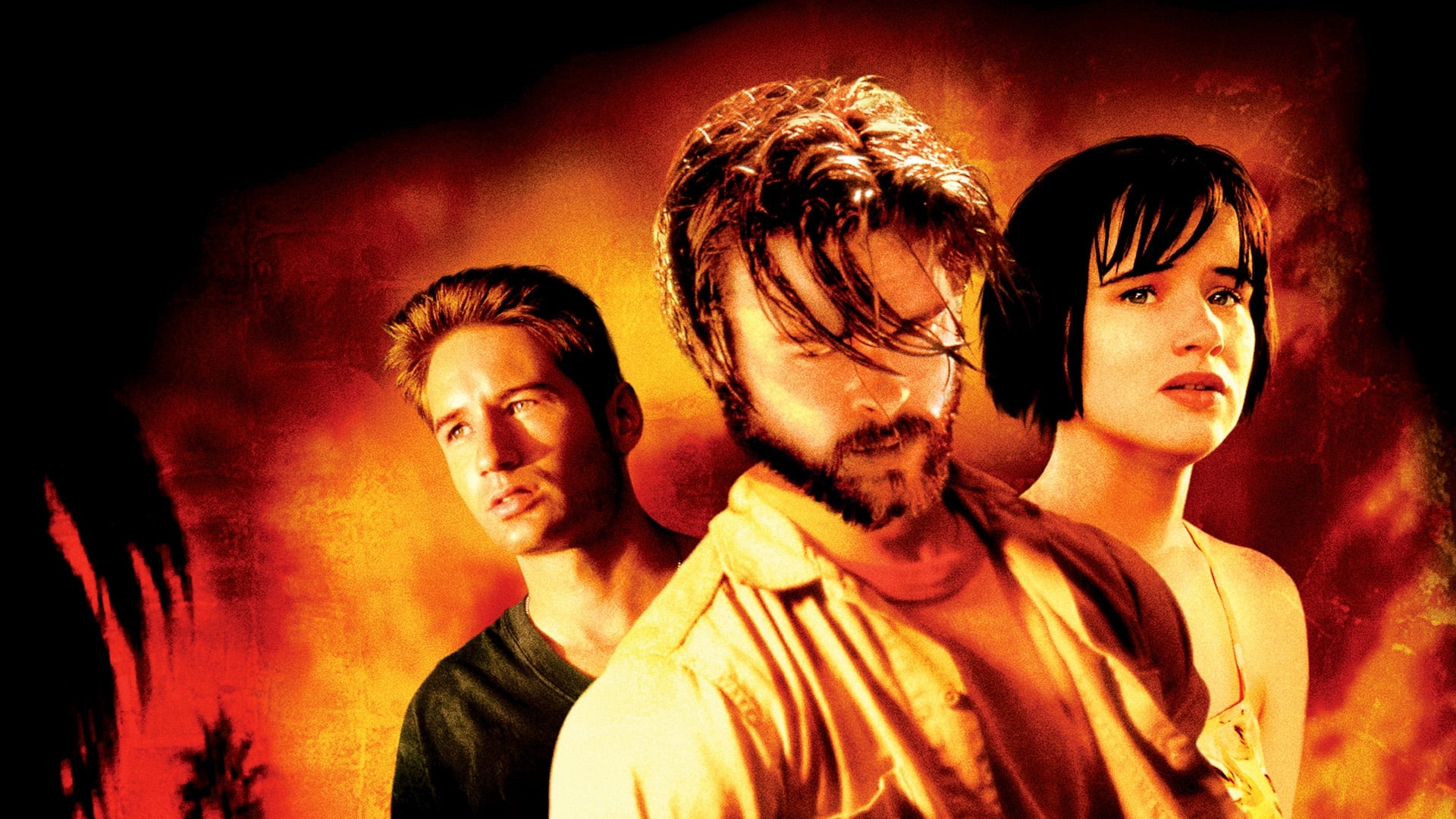Movie Backdrop