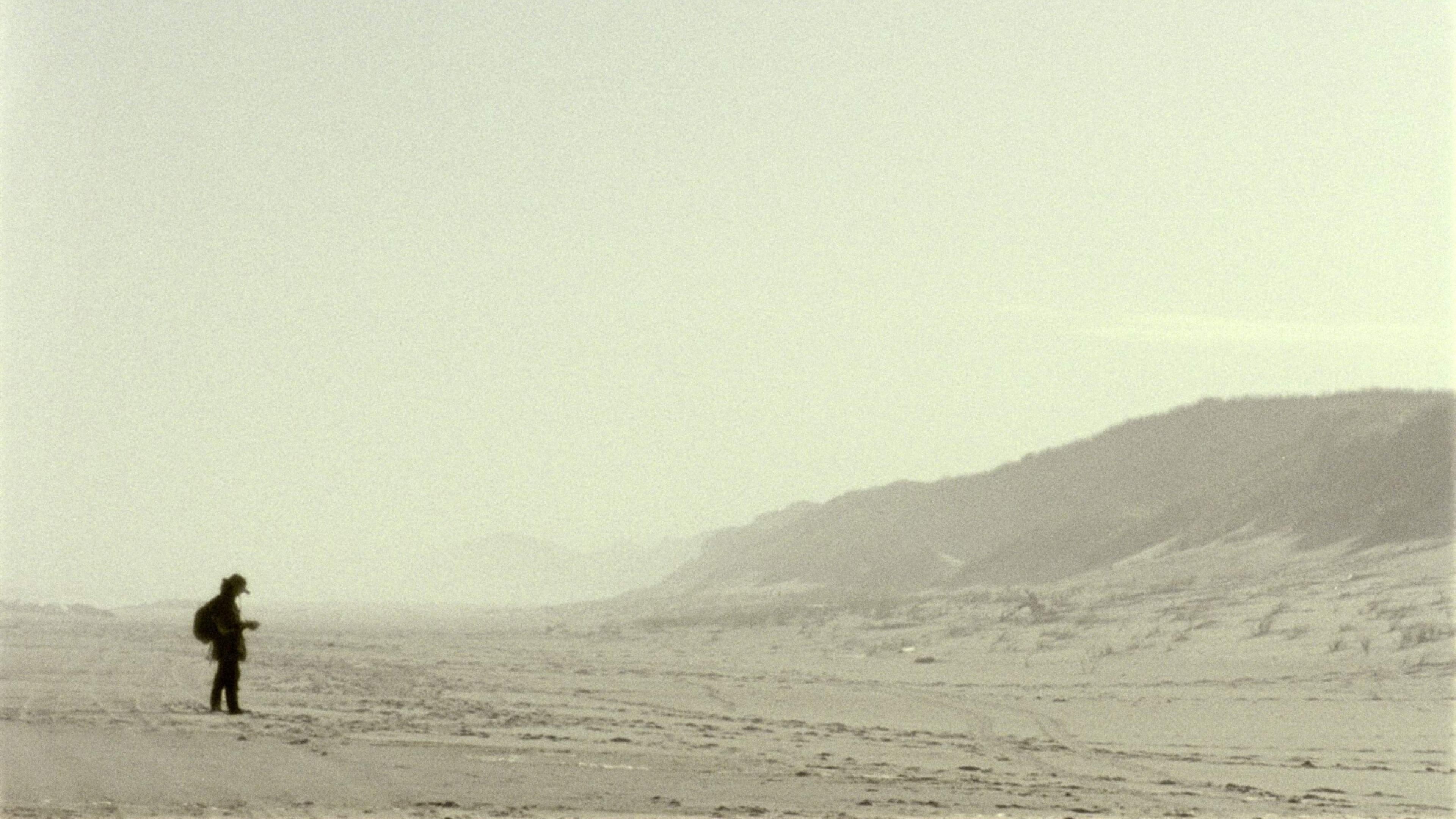 Movie Backdrop