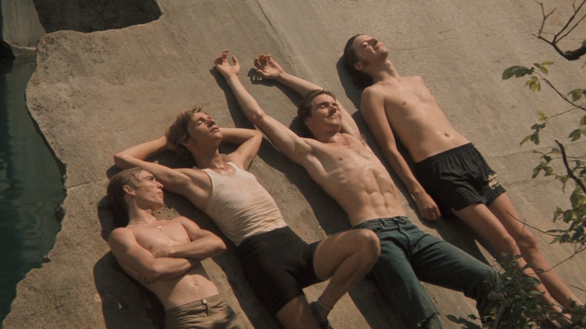 Movie Backdrop