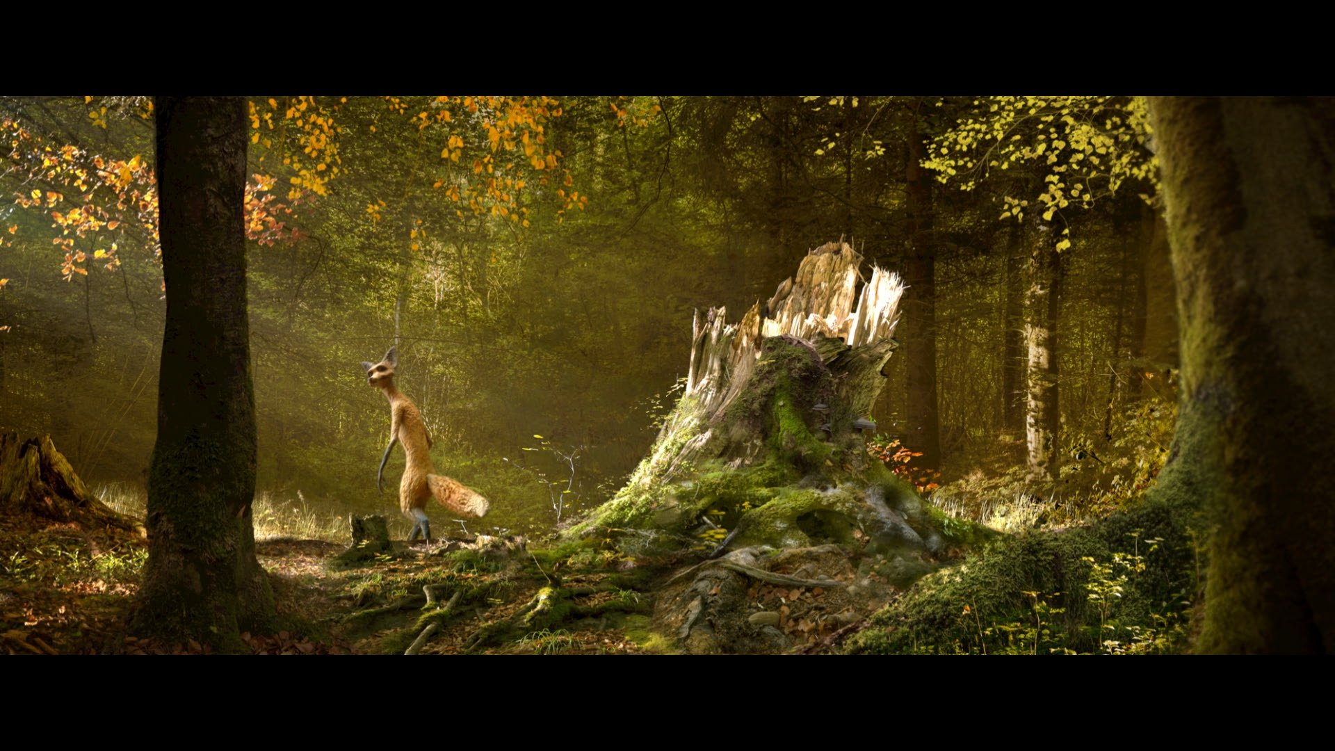 Movie Backdrop