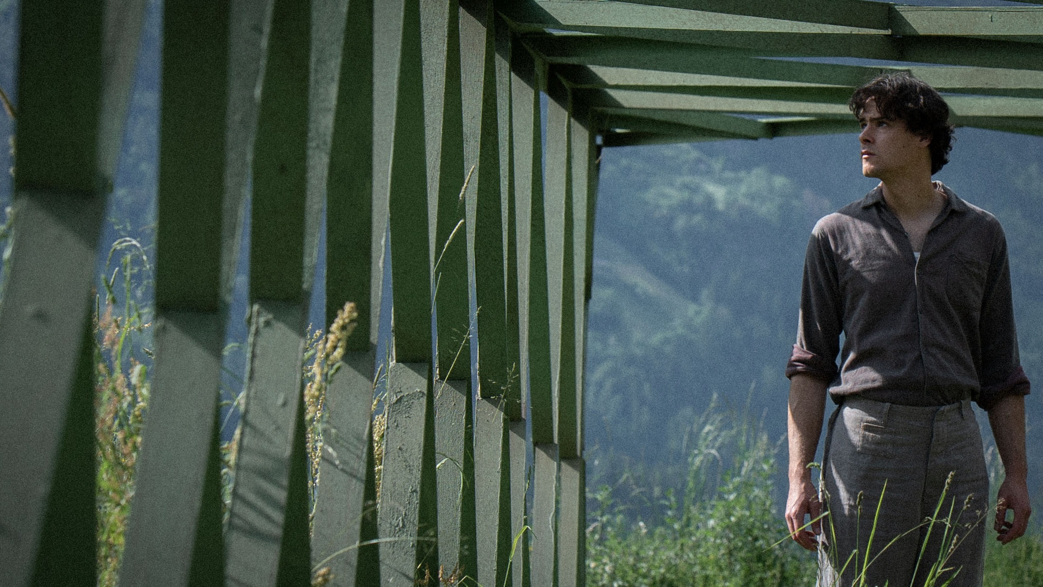 Movie Backdrop